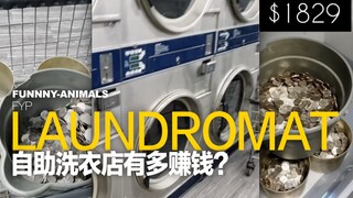 أرغب في فتح متجر للغسيل الذاتي!