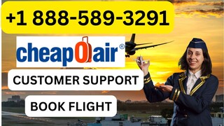 Quick™️ List of Official CheapOair ®®™️ Contact Numbers in the USA : the StepbyStep Detailed Guide