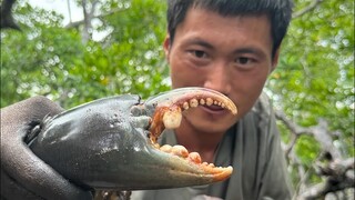 巴布亚新几内亚(Kavieng)荒岛生存第五集，探索红树林，遭遇鳄鱼跟踪，意外收获大青蟹，跌潮赶海，巴新这边的海参简直泛滥成灾#户外 #荒岛生存