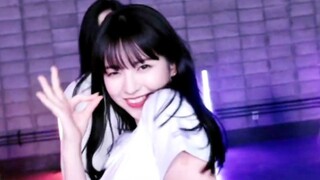[Perfect camera movement] KEP1ER variety show private server special dance version Up!