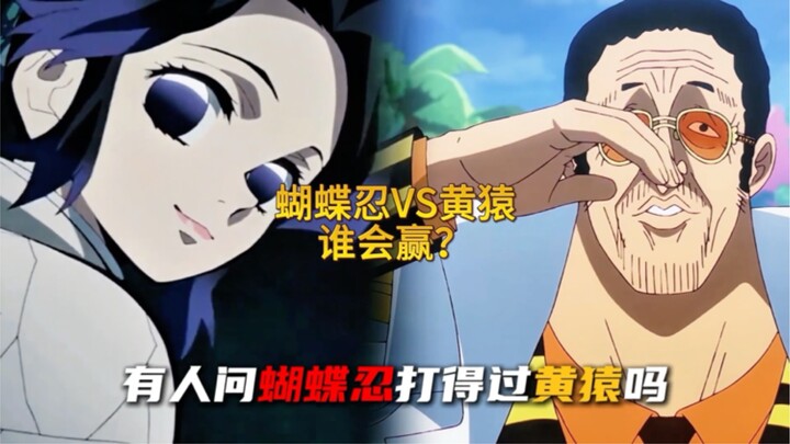 Insen Yūichirō vs. Aokiji, who will win?