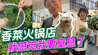 一家只有香菜的火锅店，我感觉我要窒息了…