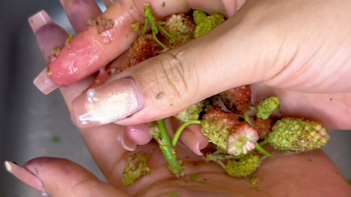 Setelah memetik murbei, tangan jadi berwarna. Gimana cara membersihkannya? Ini dia satu trik ampuh!