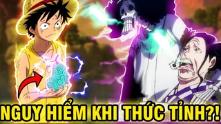 CỰC NGUY HIỂM KHI THỨC TỈNH?! | NHỮNG TRÁI ÁC QUỶ RẤT BÁ ĐẠO NẾU THỨC TỈNH TRONG ONE PIECE