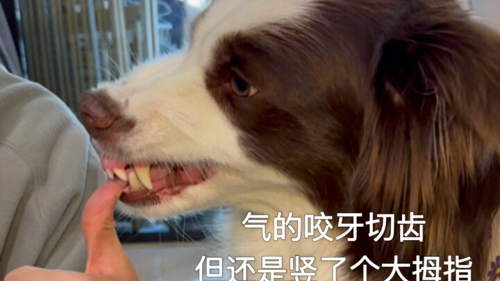 Xiao Bo: Who gave you permission to play with Mom?