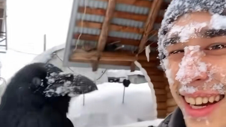 Seberapa pintar gagak?