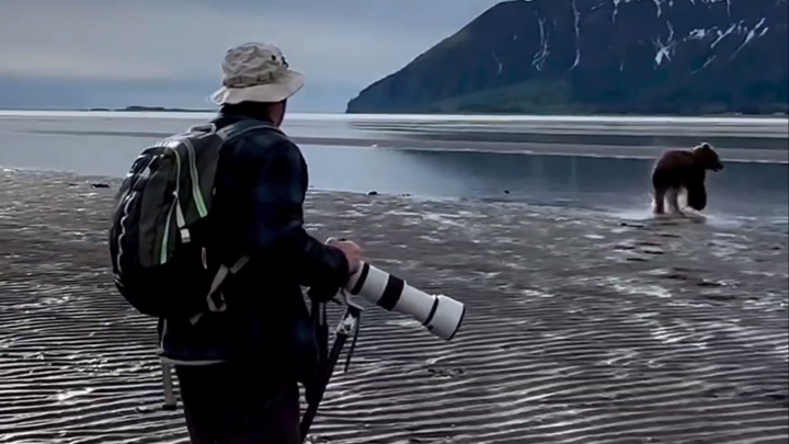 وفقًا لتقارير وسائل إعلام أجنبية، صادف فريق تصوير من ألاسكا أثناء التصوير في البرية دبًّا بنيًّا يند