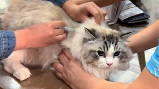 ควรออมเงินที่ไหนและใช้จ่ายที่ไหน