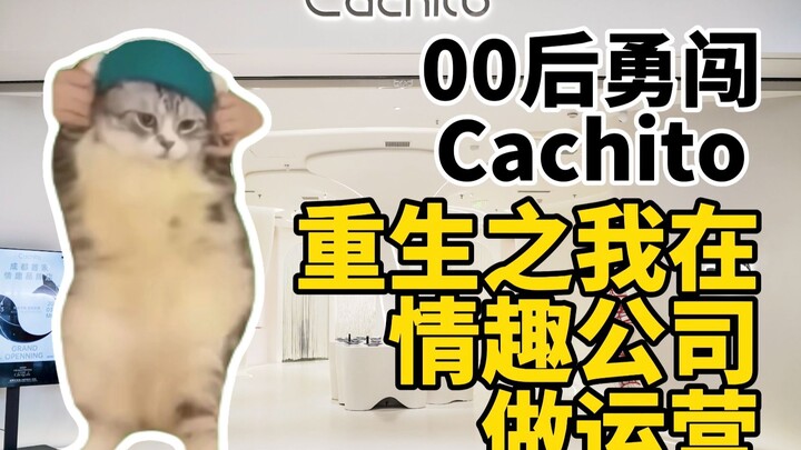 【Meme mèo】Thế hệ 00 liều lĩnh xin vào công ty đồ chơi tình dục làm nhân viên vận hành!