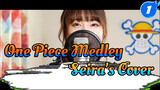 One Piece Medley (Seira's Cover)_1