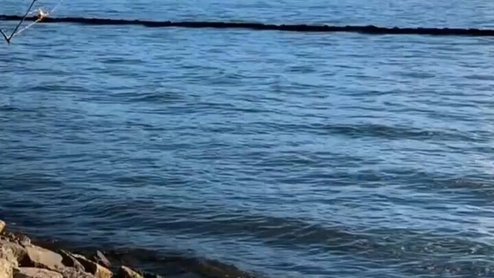 Tôi luôn cảm thấy Châu Kiệt Luân là một thiên tài tự học, còn Vương Lực Hoành là đại diện hàng đầu c