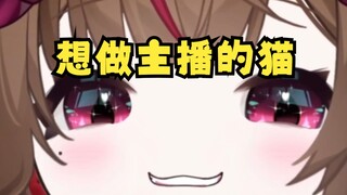 可以，但要先绝育