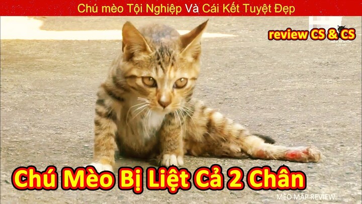 Chú Mèo Bị Liệt Cả 2 Chân Và Cái Kết Được Con Người Cứu Giúp || Review Con Người Và Cuộc Sống