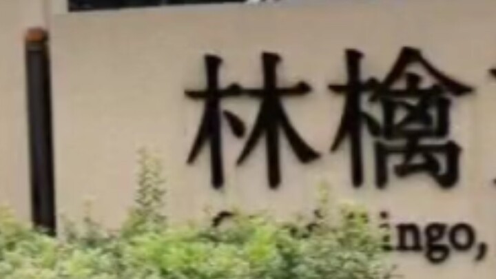 Lin Qin (startled)