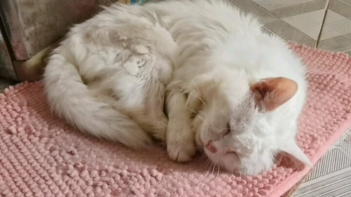 Miao Xue’er, 25 tahun | Aku cuma bayi kecil berusia 25 tahun kok!