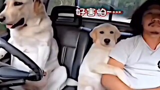 越来越特么离谱