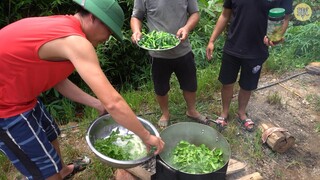 CANH NGON | Nhịp Sống Tây Bắc