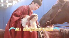 不是?檀健次他是真不骗人啊!原来教呆球骑马不是胡说八道,他是真的干了……