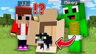 Baby Mikey & JJ Helping A Lost Baby Cat in Minecraft challenge Kitten (Maizen Mizen Mazien)