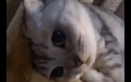 Mẹ ơi, nó hôn con, con muốn cô ấy♥(ˆ⌣ˆԅ)