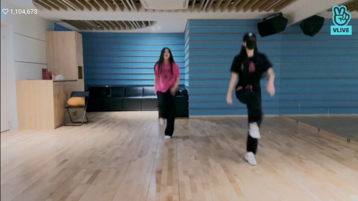 每个JYP艺人都跳的基本舞蹈(NMIXX ver.)