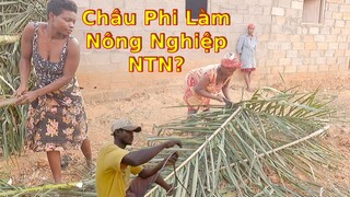 Vườn rau nhà anh đốt than như thế nào||2Q Vlogs cuộc sống châu phi