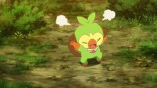 Pokemon Tập 1159: Tớ muốn xem việc vặt đầu tiên của chúng!