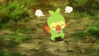 Pokemon Tập 1159: Tớ muốn xem việc vặt đầu tiên của chúng!