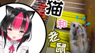 【黑桐亚里亚】《新·猫和老鼠》