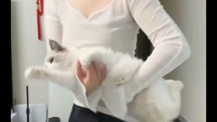 ชมย้อนหลังไลฟ์สด