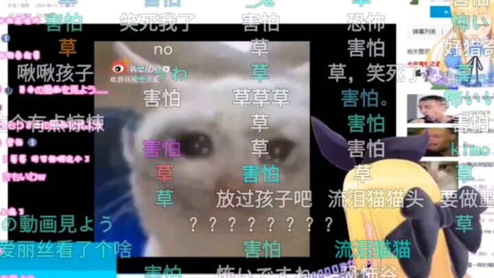 被痛苦猫猫头吓到的爱丽丝
