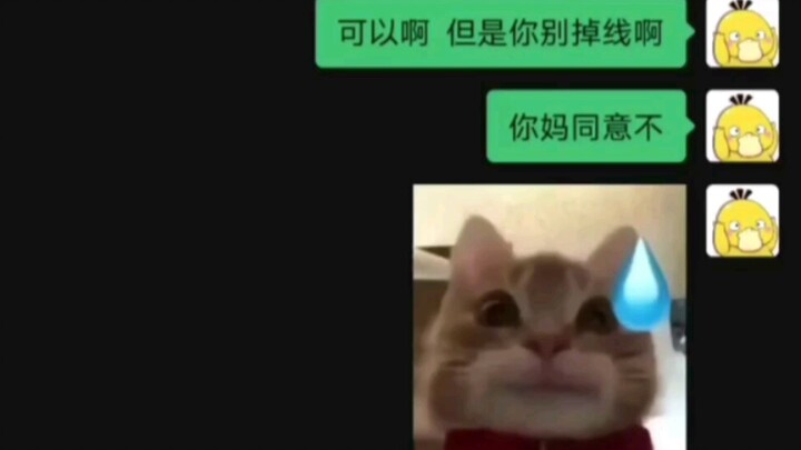 “Mẹ hiền con thảo”