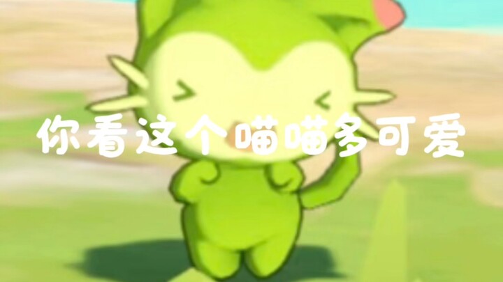 แมวน้อยของฉันมารับฉันแล้ว