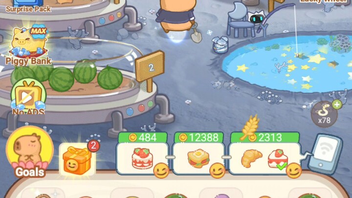 HappyCapy6 31