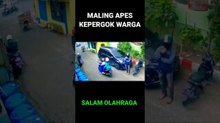 Maling Apes kepergok warga #shorts