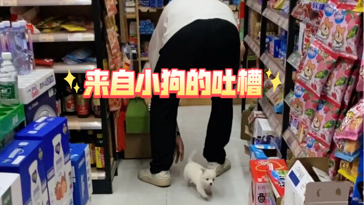 After the supermarket owner picked up a little puppy, they couldn’t focus on running the store and e