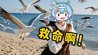 法国的海鸥抢我手机！没中国的海鸥有家教！就像猴哥没有猴德！