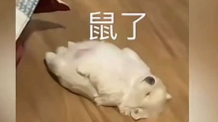 Regular exercise can snap you right into shape!