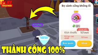 Thử Thách 24H Săn Côn Trùng Mới, Vị Trí Dễ Xuất Hiện Bọ Cánh Cứng Khủng Lồ | Play Together