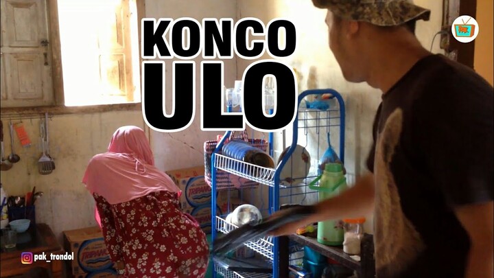 nikung bojone konco