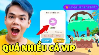 ĐỔI KHINH KHÍ CẦU, 24H CÂU CÁ HIẾM TRONG BẢN CẬP NHẬT MỚI PLAY TOGETHER | SUNNY GAMING