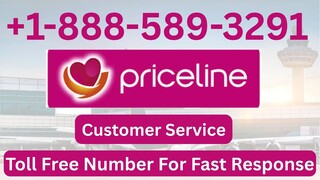 FULL Ⓝ List of official Priceli𝙣e™️CUSTOMER ® sERVICE Contact Numbers - The Ultimate Official Guide