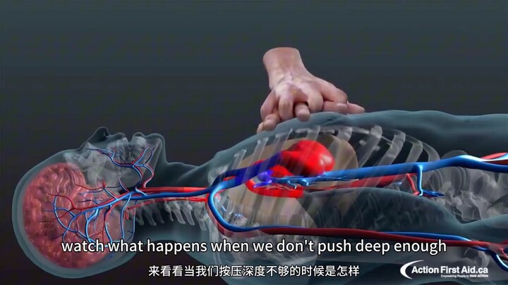 น่าจะเป็นวิดีโอสอนการทำ CPR ที่เข้าใจง่ายและชัดเจนที่สุดแล้ว