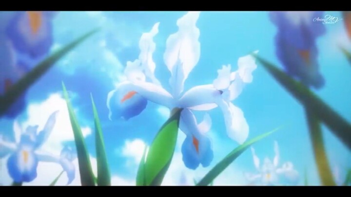 white violet flower