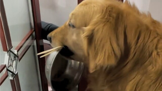 You're definitely doing this on purpose...