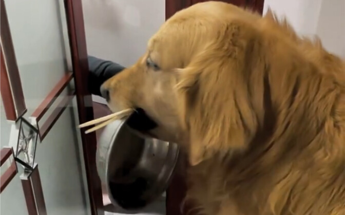 You're definitely doing this on purpose...