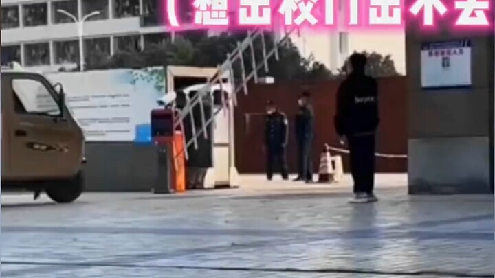 Talented people never complain about the bigger picture.