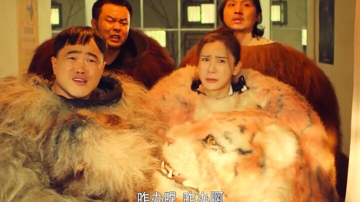 "It's totally normal for a Siberian tiger to get drunk from drinking beer, right?"