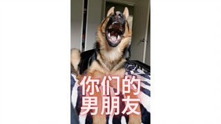请@你们的男朋友