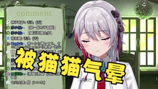 被猫拳攻击后残酷镇压猫咪叛乱的日本天然小姐姐